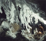 Lechuguilla