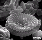 Nanoworld