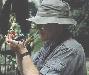 Brett collecting rhinoceros beetles in Costa Rica